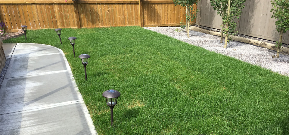 landscape services